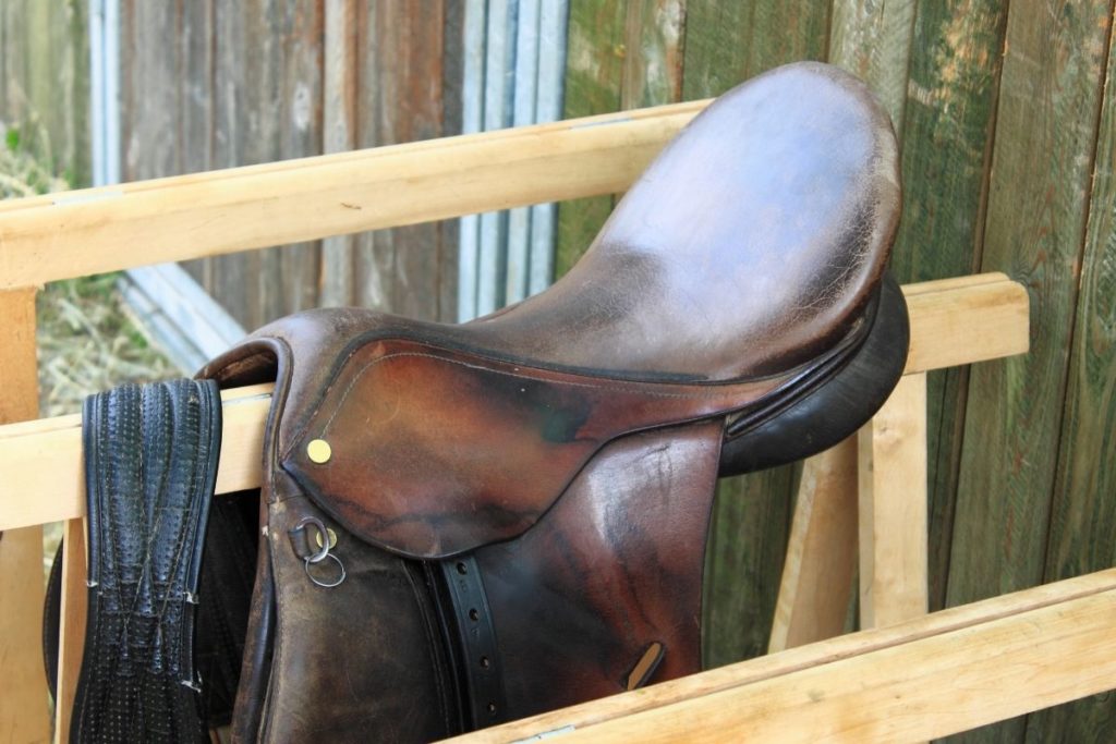 How To Measure Saddle Gullet