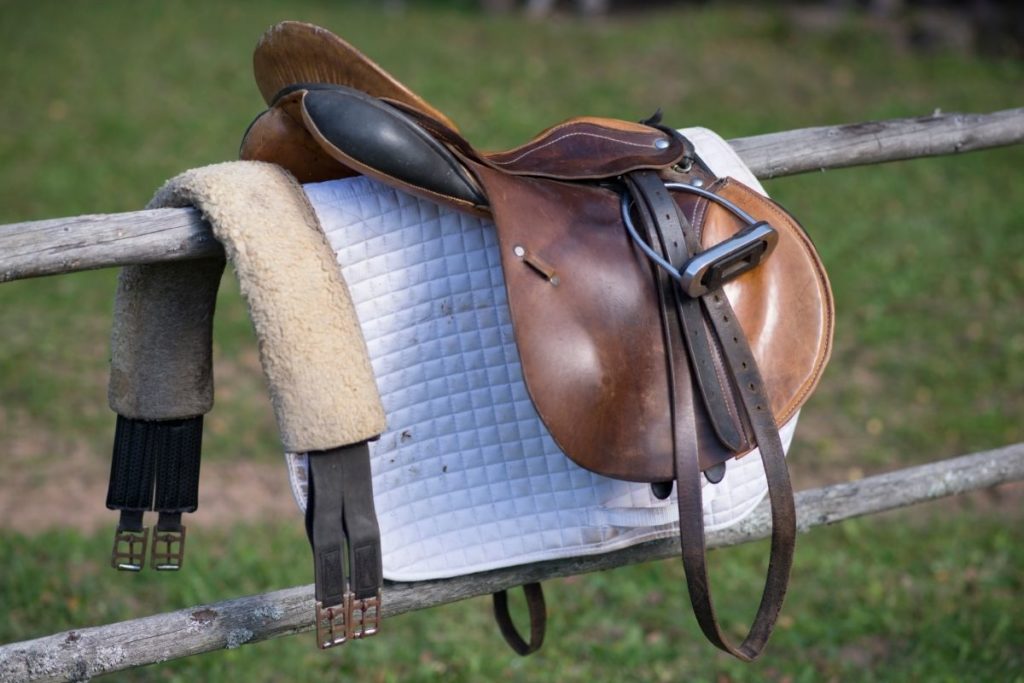 How to Measure a Horse Saddle
