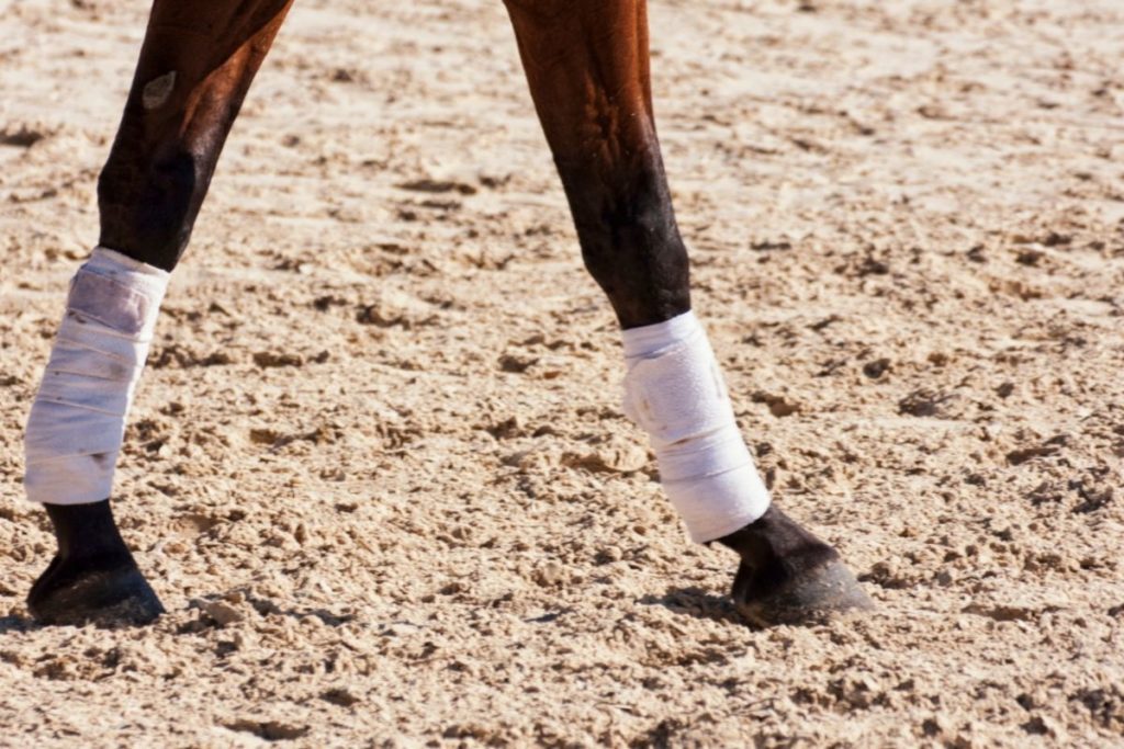 Do Horseshoes Hurt Horses
