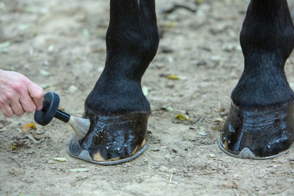 What Are Horse Hooves Made Of?